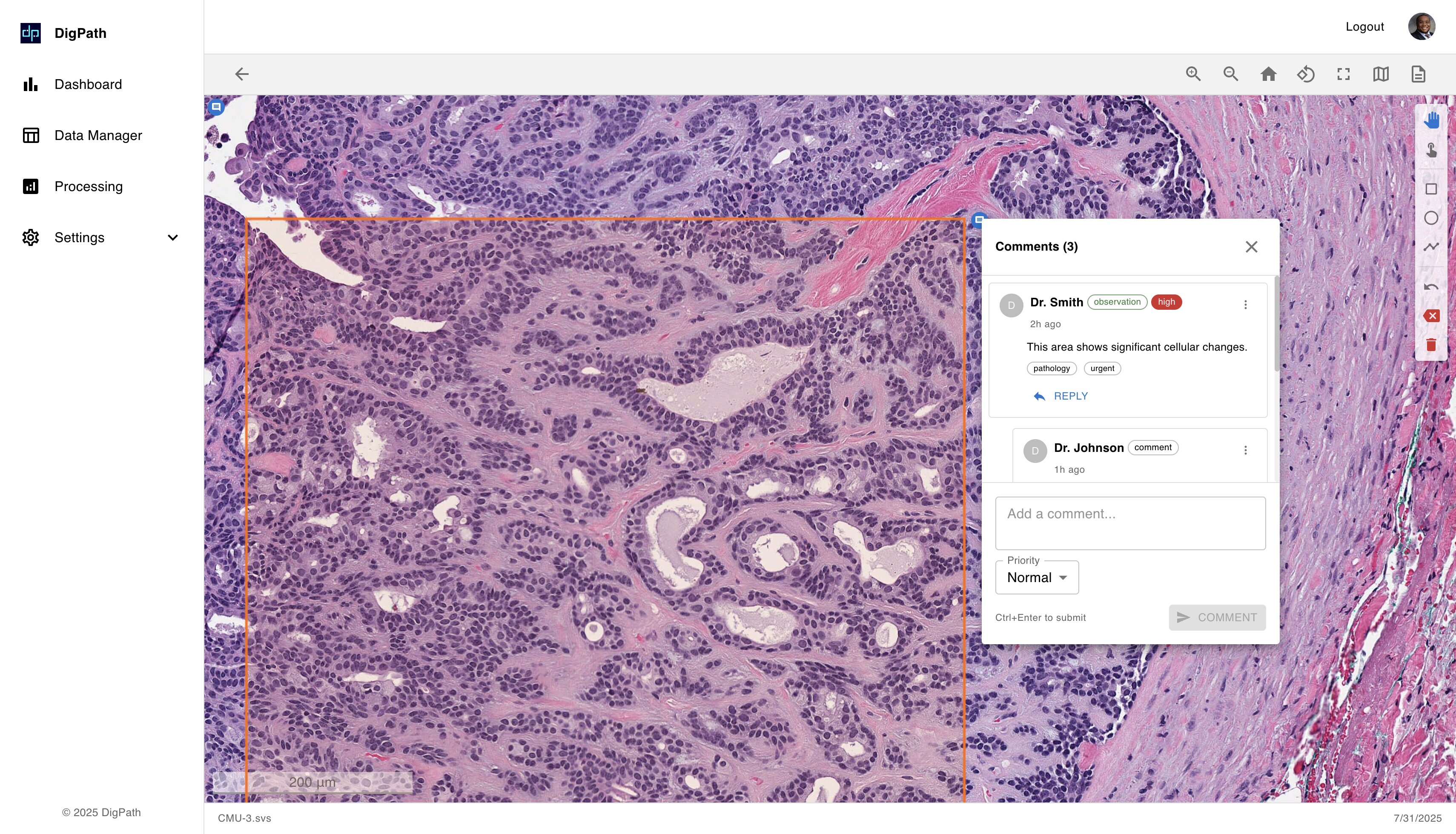 DigPath Real-Time Collaboration Interface